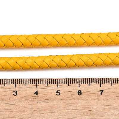 Braided Leather Cord with Core WL-F009-6mm-01-1