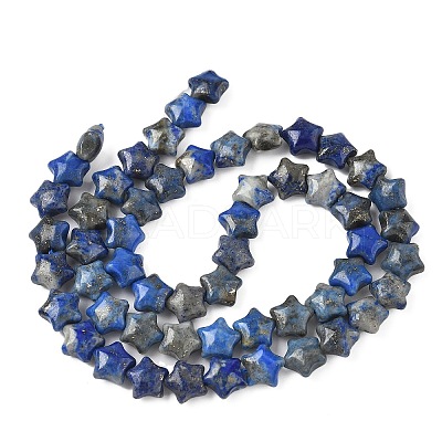 Natural Lapis Lazuli Star Beads Strands G-Z080-A05-1
