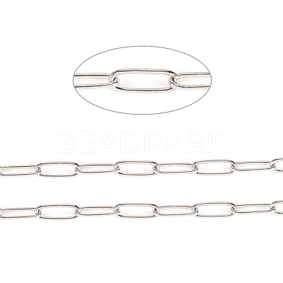 Tarnish Resistant 304 Stainless Steel Paperclip Chains CHS-F010-01E-P-1