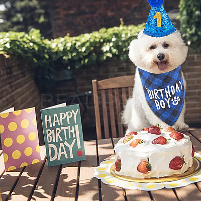 Polyester and Polycotton Pet Hat & Collar & Bib Birthday Party set AJEW-WH20010-97-1