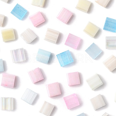 100Pcs 10 Styles 2-Hole Glass Seed Beads SEED-FS0001-45-1