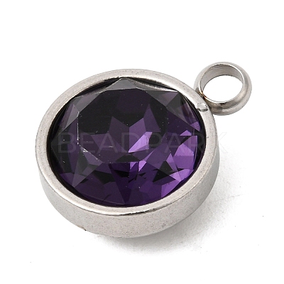 Birthstone Theme February 304 Stainless Steel Pendants STAS-G082-17P-02-1