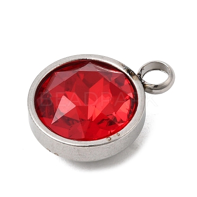 Birthstone Theme January 304 Stainless Steel Pendants STAS-G082-17P-01-1