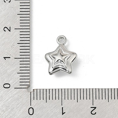 304 Stainless Steel Charms X-STAS-F327-03C-P-1