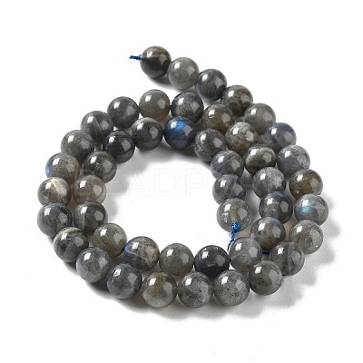 Natural Labradorite Beads Strands G-S333-6mm-035-1