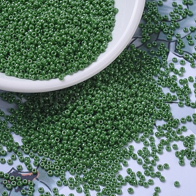 MIYUKI Round Rocailles Beads X-SEED-G007-RR0431-1