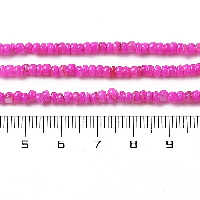 Natural Freshwater Shell Beads Strands SHEL-P017-01B-01-1