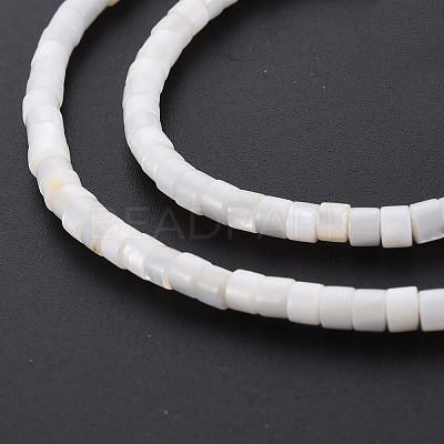 Natural Freshwater Shell Beads Strands X-SHEL-N027-09-1