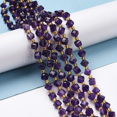 Natural Amethyst Beads Strands G-P463-23-1