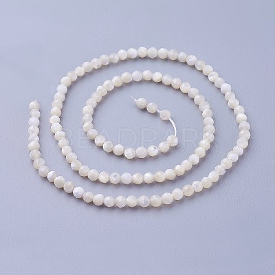 Shell Beads Strands LS-G-F619-27-3mm-1