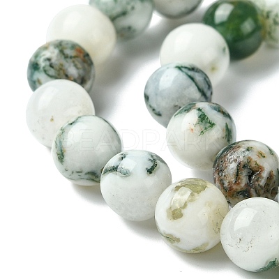 Natural Tree Agate Beads Strands G-K194-8mm-02-1