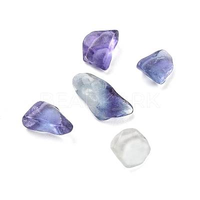 Natural Fluorite Beads G-L491-03-1