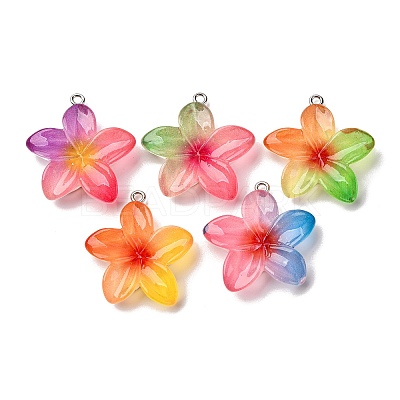 Transparent Resin Pendants RESI-A046-05F-1