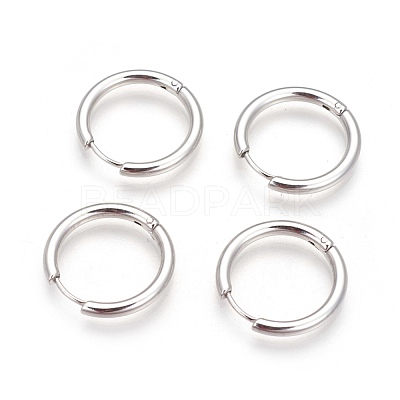 Tarnish Resistant 304 Stainless Steel Hoop Earrings EJEW-P177-P-19-1
