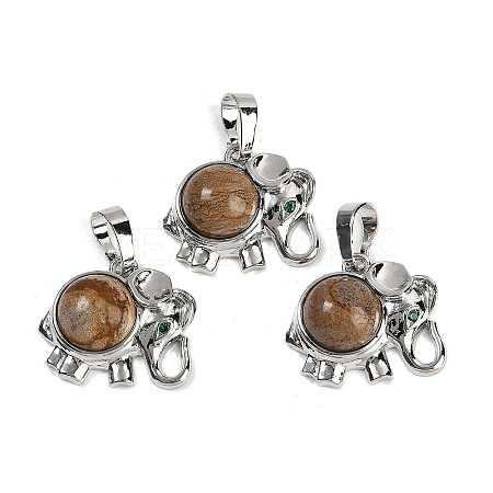 Natural Picture Jasper Pendants G-I374-A-P19-1