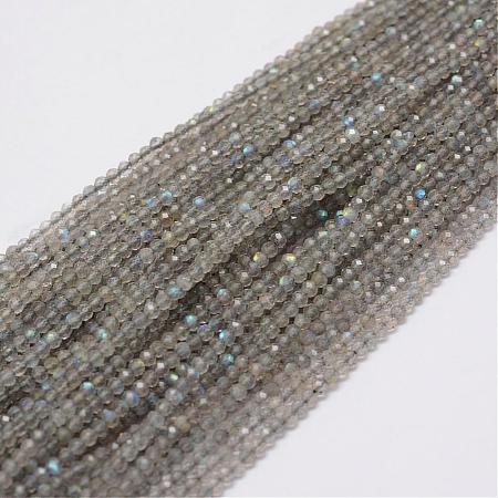 Natural Larvikite Beads Strands G-E349-01-1