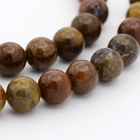 Natural Petrified Wood Round Bead Strands G-P070-64-4mm-1
