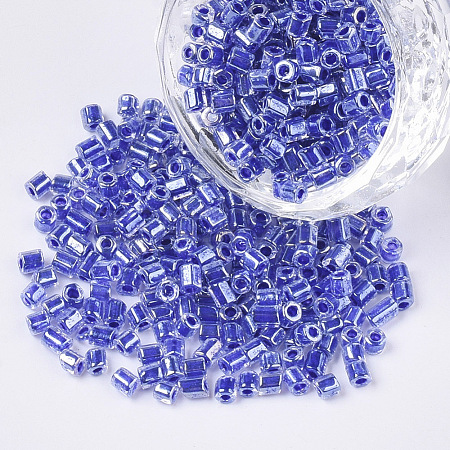 8/0 Two Cut Glass Seed Beads SEED-S033-10A-02-1