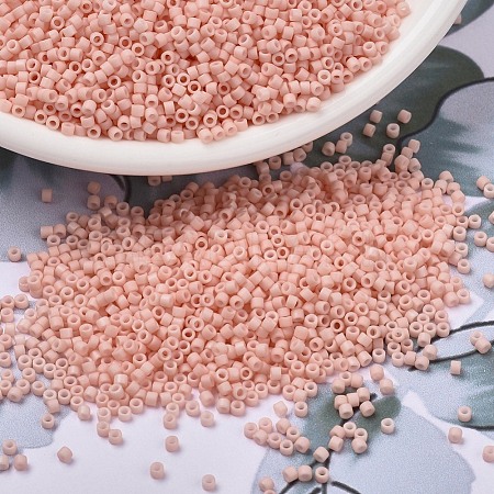 MIYUKI Delica Beads X-SEED-J020-DB1513-1