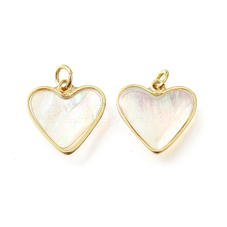 Natural White Shell & Epoxy Resin Charms KK-E794-02G-06-1
