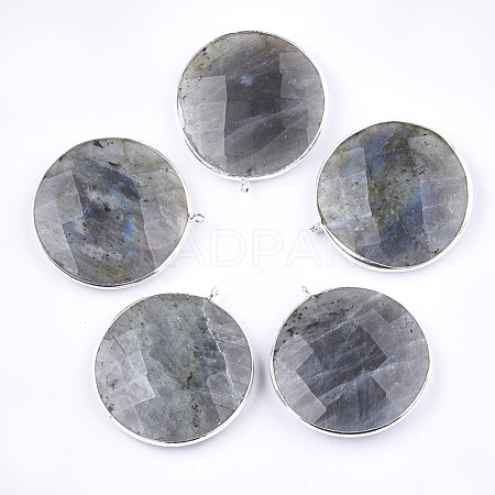 Natural Labradorite Pendants G-T112-29A-1