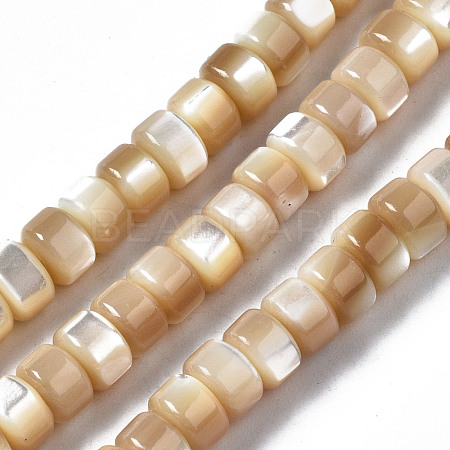 Natural Trochid Shell/Trochus Shell Beads Strands SSHEL-S266-016B-02-1
