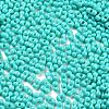 Baking Paint Glass Seed Beads X1-SEED-A033-05O-3