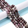 Natural Plum Blossom Tourmaline Beads Strands G-P477-01B-01-2