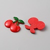 Fruit Theme Plastic Cabochons KY-WH0004-22E-2