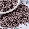 MIYUKI Round Rocailles Beads X-SEED-G008-RR2034-1