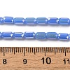 Electroplate Glass Beads Strands EGLA-D031-01-06-4