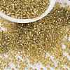 MIYUKI Round Rocailles Beads X-SEED-G008-RR0003-1