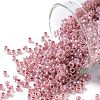 TOHO Round Seed Beads X-SEED-TR11-0907-1