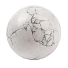 Natural Howlite Sphere Beads G-I367-05D-1