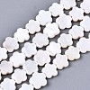 Natural Freshwater Shell Beads Strands X-SHEL-S276-111-1