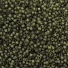 MIYUKI Delica Beads SEED-MY11-DB2404-2