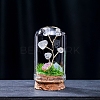 Natural Quartz Crystal Display Decorations G-PW0004-25A-1