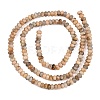 Natural Feldspar Beads Strands G-K343-C53-01-3