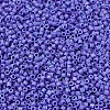 MIYUKI Delica Beads Small X-SEED-J020-DBS1597-3