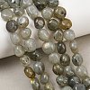 Natural Labradorite Beads Strands GG-CBA787B-A36-1