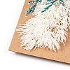 Dried Flower DIY-B018-05-2