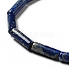 Natural Lapis Lazuli Beads Strands G-I326-05A-4