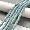 Natural Turquoise Beads Strands X-G-M422-C01-01-3