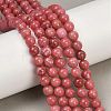 Natural Thulite Beads Strands G-Z044-A02-01-1