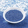 MIYUKI Round Rocailles Beads SEED-JP0008-RR0019-2
