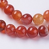 Natural Striped Agate/Banded Agate Beads Strands G-G591-8mm-03-3
