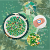200G 10 Style Saint Patrick's Day Handmade Polymer Clay Cabochons Sets CLAY-FH0001-26-4