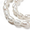 Natural Cultured Freshwater Pearl Beads Strands X-PEAR-S012-41-3