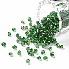 8/0 Glass Seed Beads SEED-A005-3mm-27-1