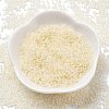 Transparent Inside Colours Glass Seed Beads X1-SEED-H003-04B-2